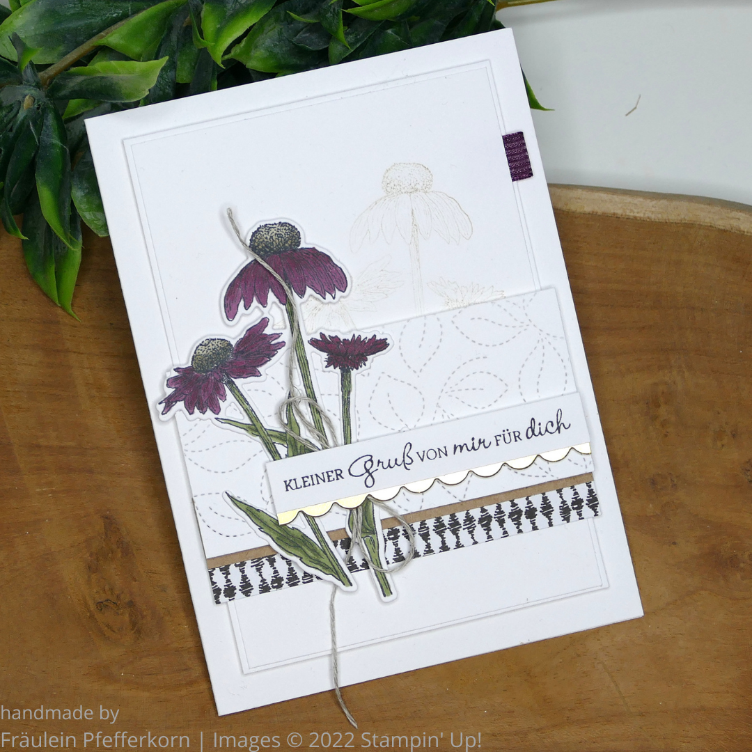Herbstliche Geburtstagskarte Echinacea