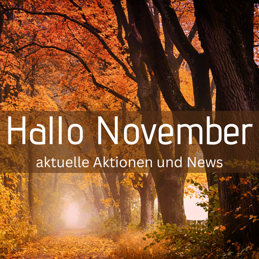 Read more about the article Aktuelle Aktionen und News im November